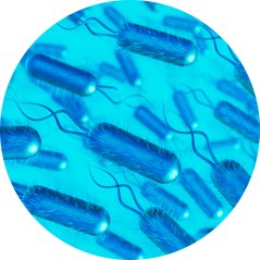 Rozbor vody LEGIONELLA