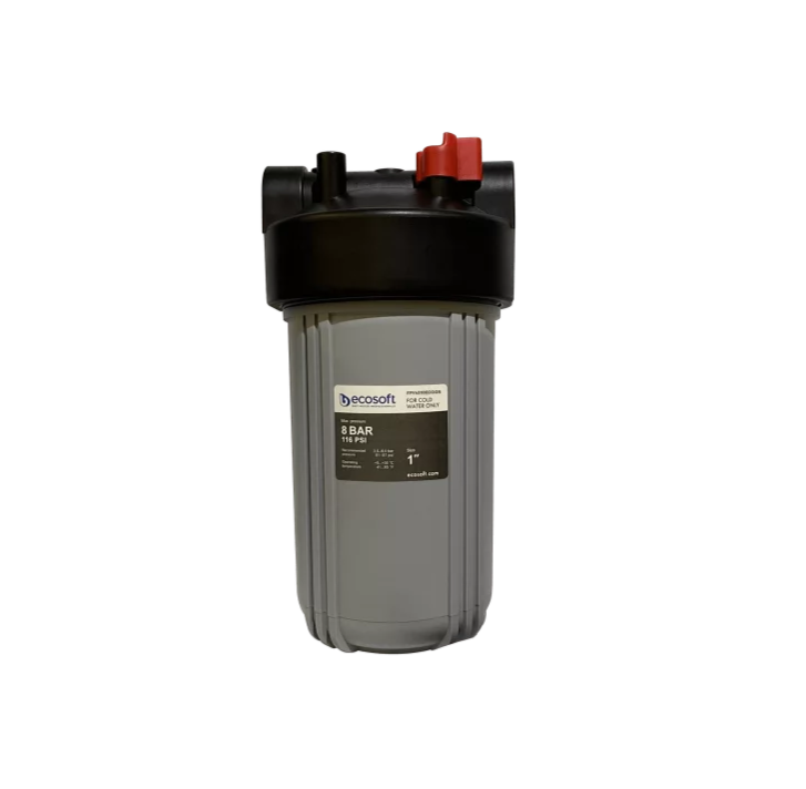 Potrubný filter na vodu Ecosoft Bigblue 10"